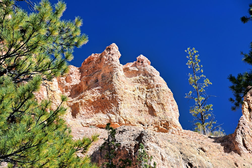 a rock formation surrounded by pine trees on a sunny day
