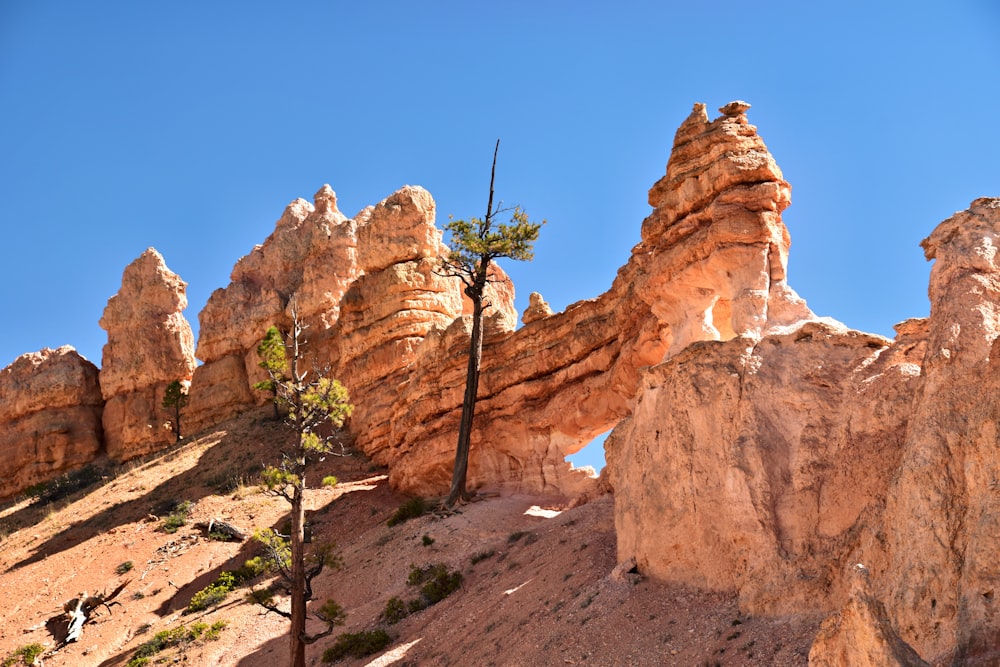 a group of rock formations with a tree in the foreground