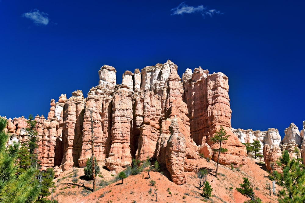 a large rock formation in the middle of a forest