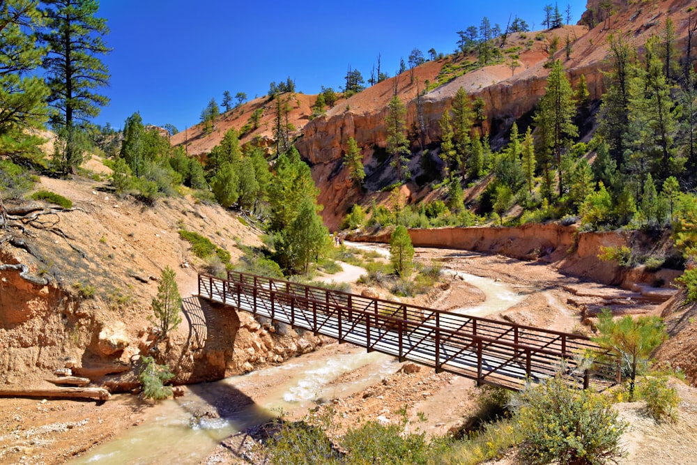 a wooden bridge over a small stream in the mountains