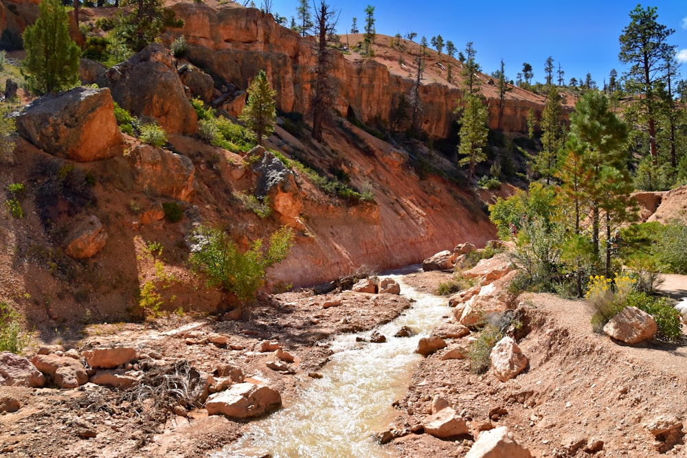 ein Fluss, der durch eine felsige Schlucht fließt, die von Bäumen umgeben ist