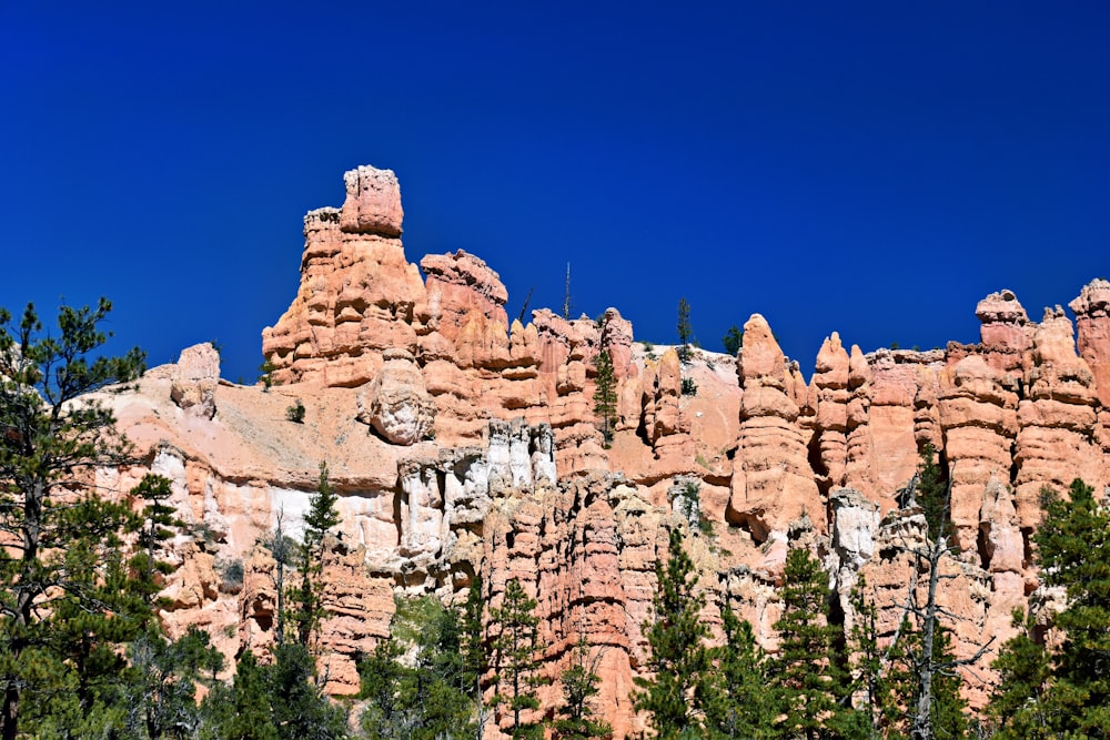 a group of rocks with trees in the foreground