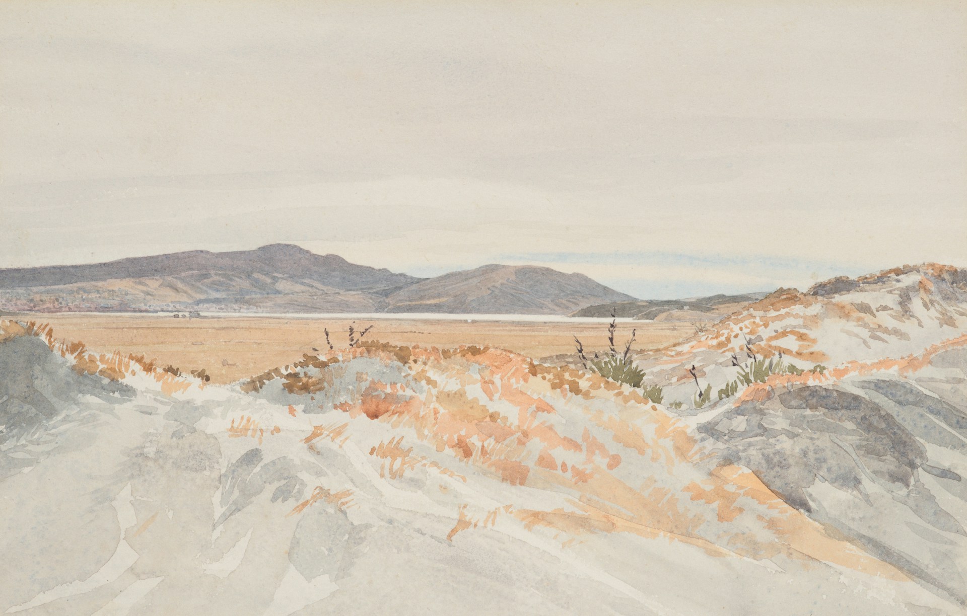 a grassy field with the sun in the background