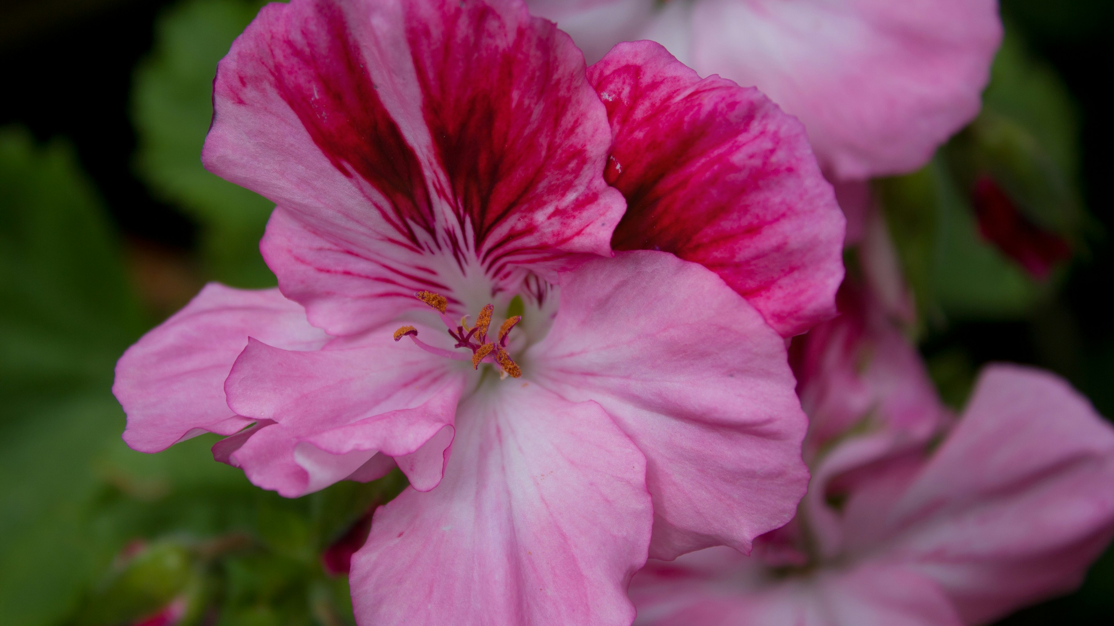 Photo by imwilliamwilliams