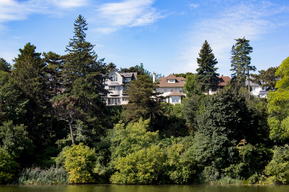 a row of houses sitting on top of a lush green forest