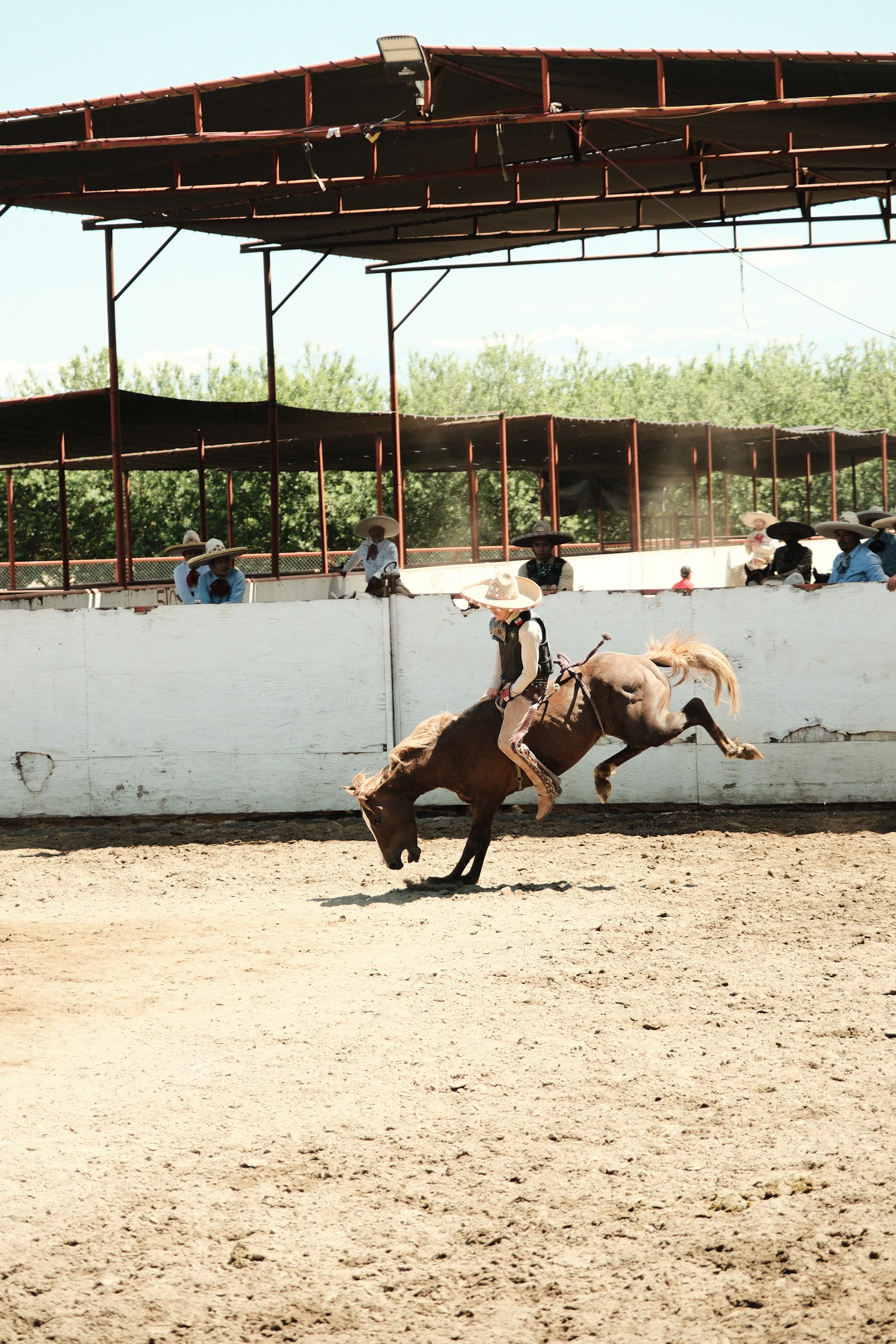 Horse riding near Segovia: a local guide to choosing your route
