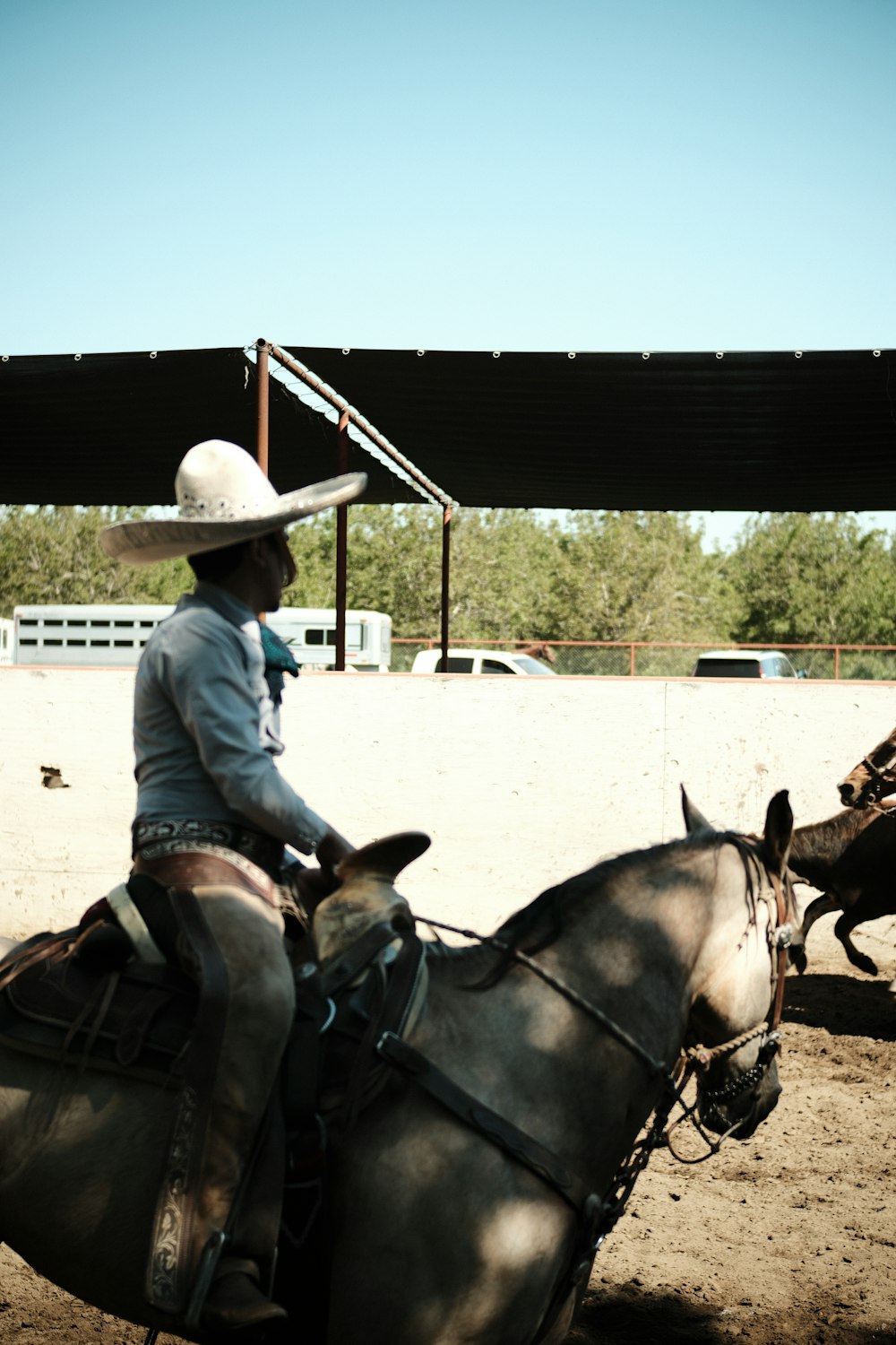 a man riding on the back of a brown horse