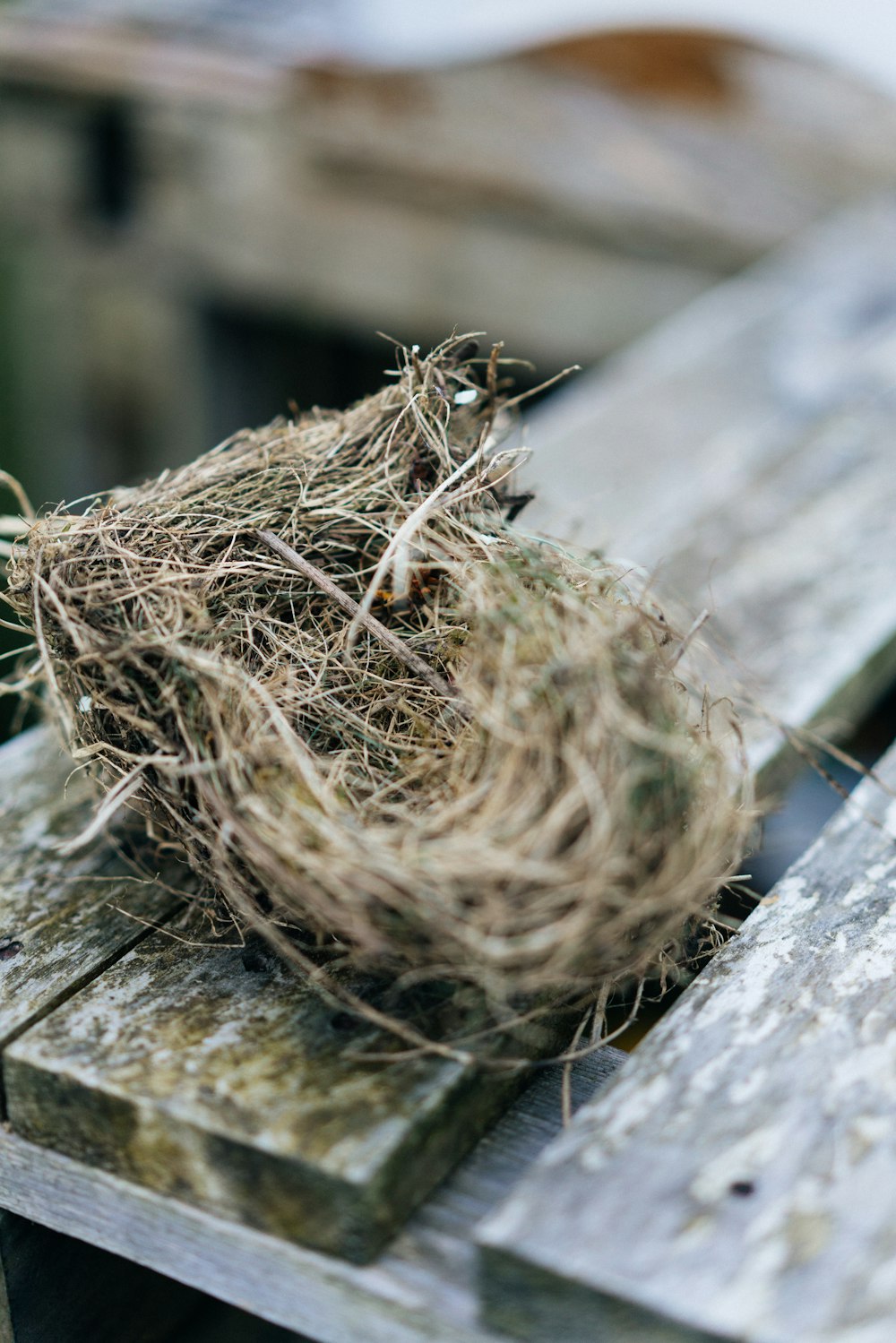 a bird nest sitting on top of a wooden bench