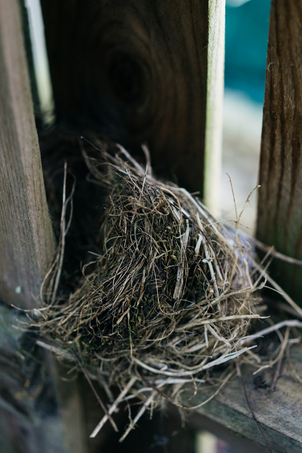 a close up of a bird nest on a wooden fence
