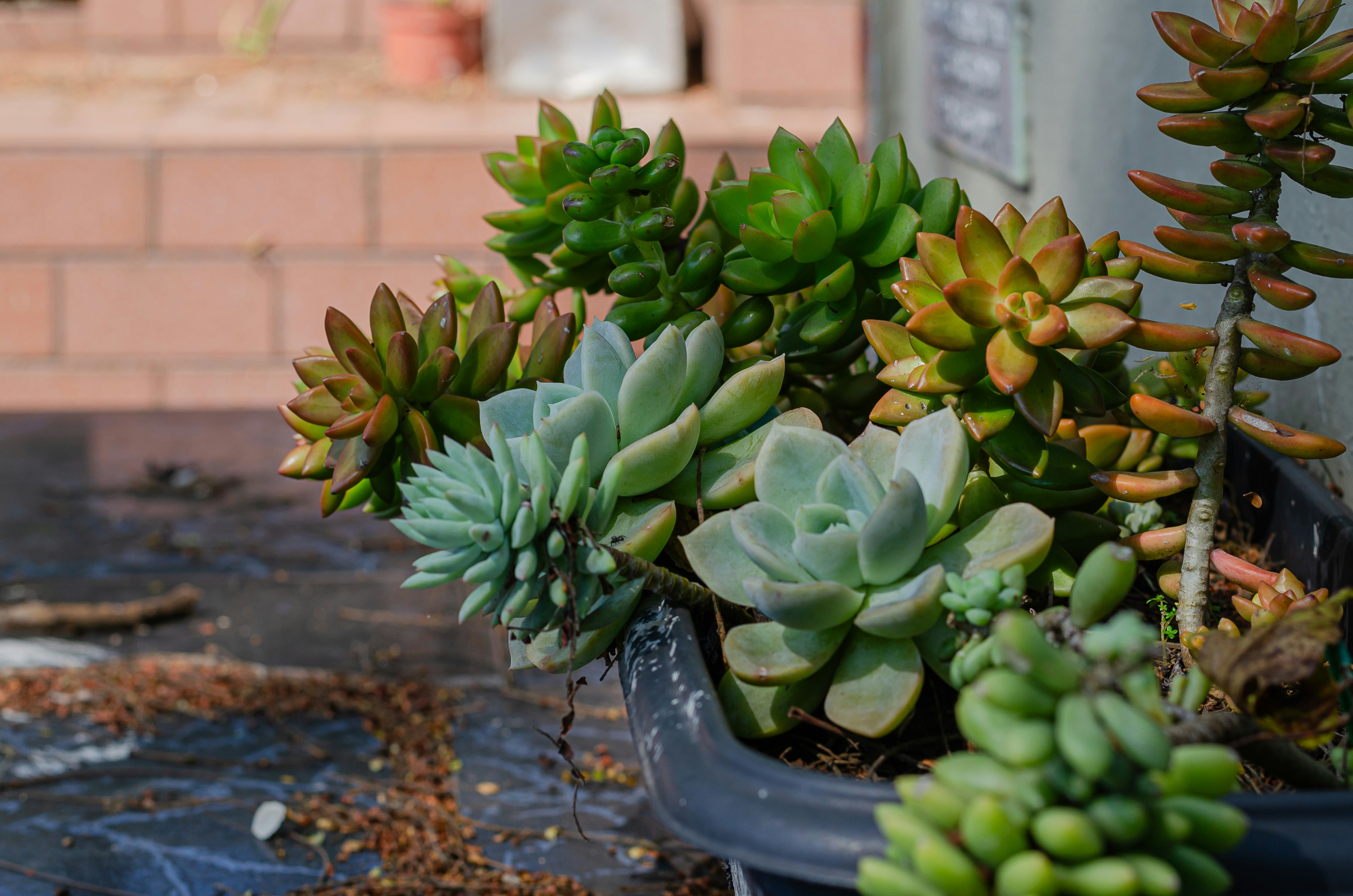 Photo by georgia_vis