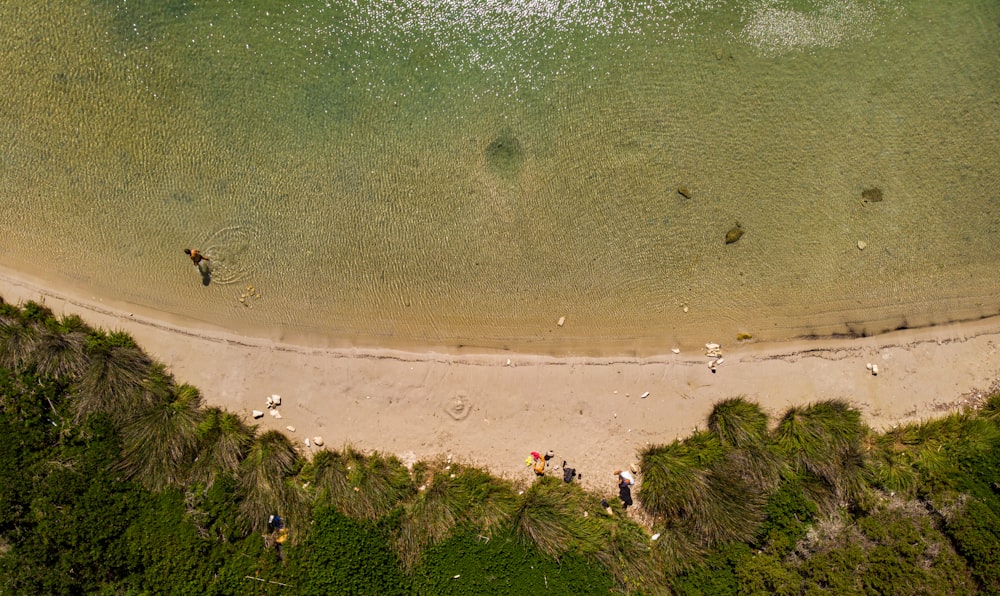 una veduta aerea di una spiaggia con persone su di essa