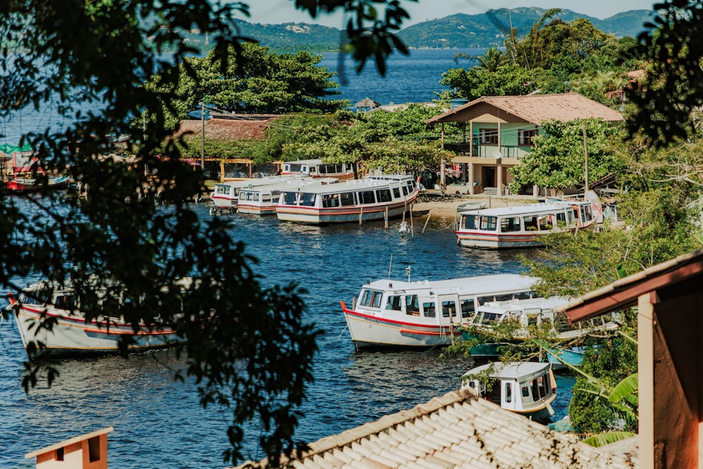 a group of boats floating on top of a body of water