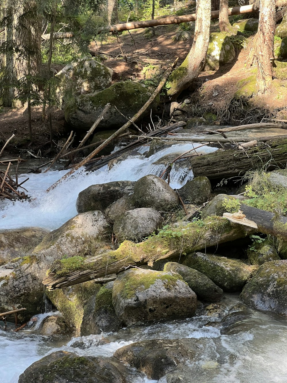 um riacho que atravessa uma floresta cheia de rochas