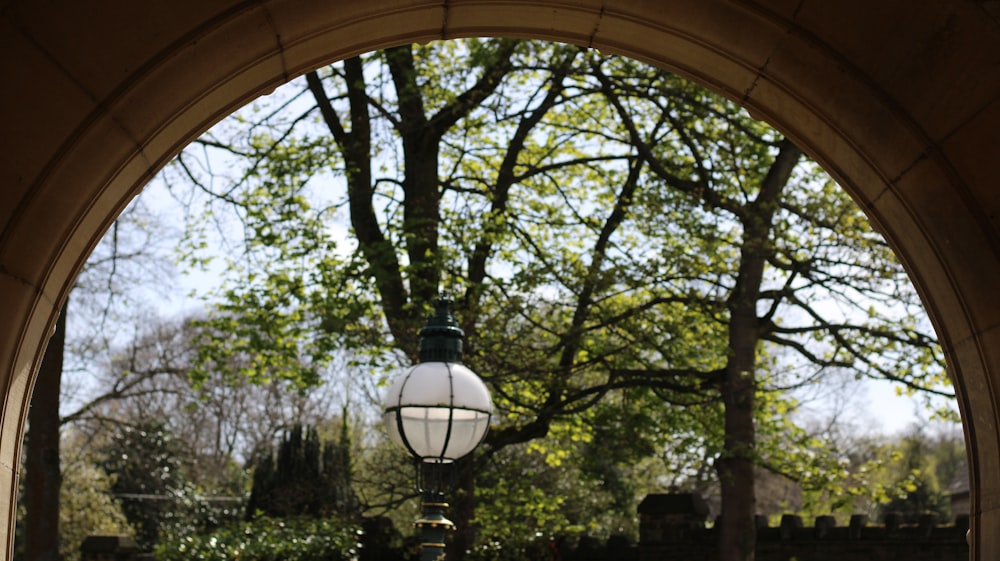 a street light sitting under a tree in a park