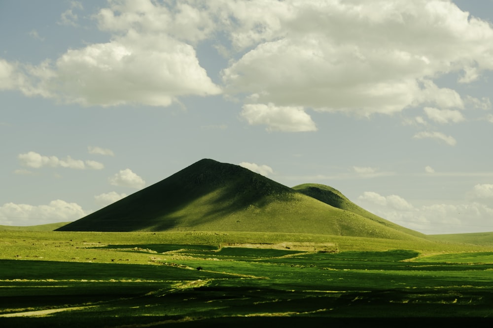 a grassy plain with a mountain in the background