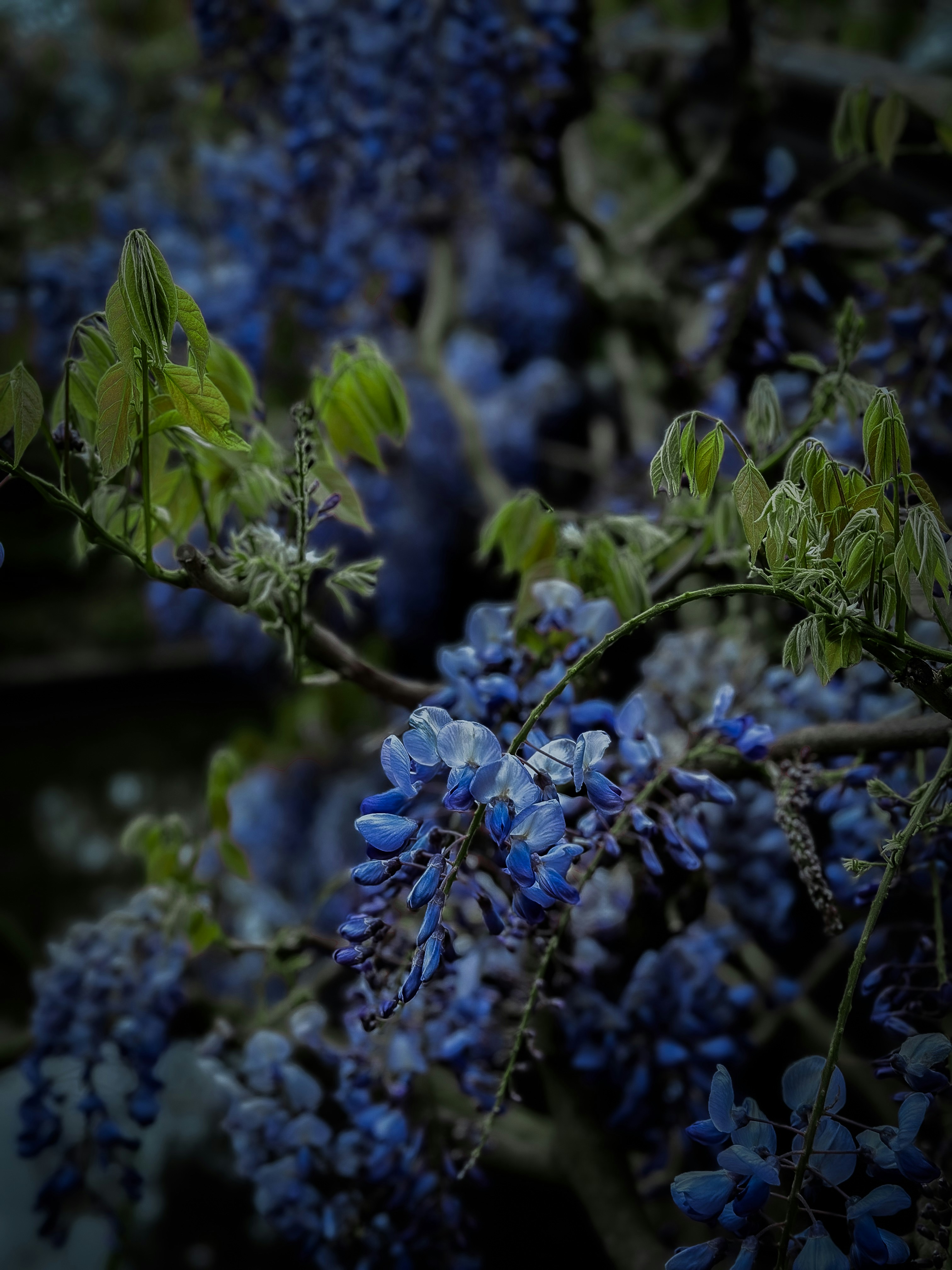 Photo by ravikiransunnam