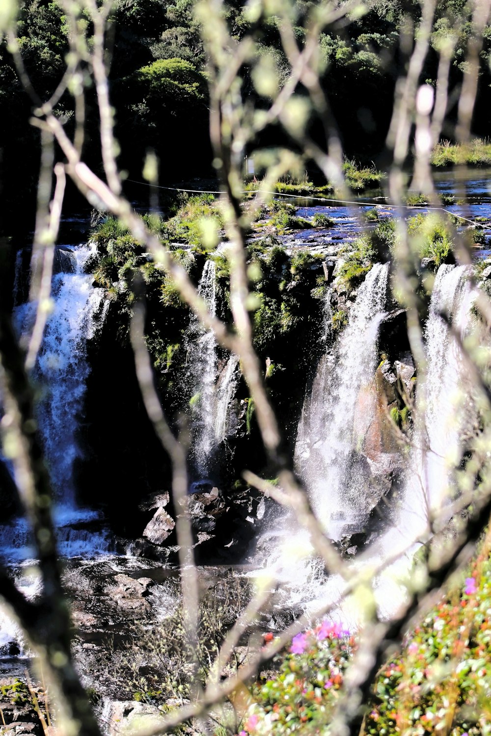 a view of a waterfall through the branches of a tree