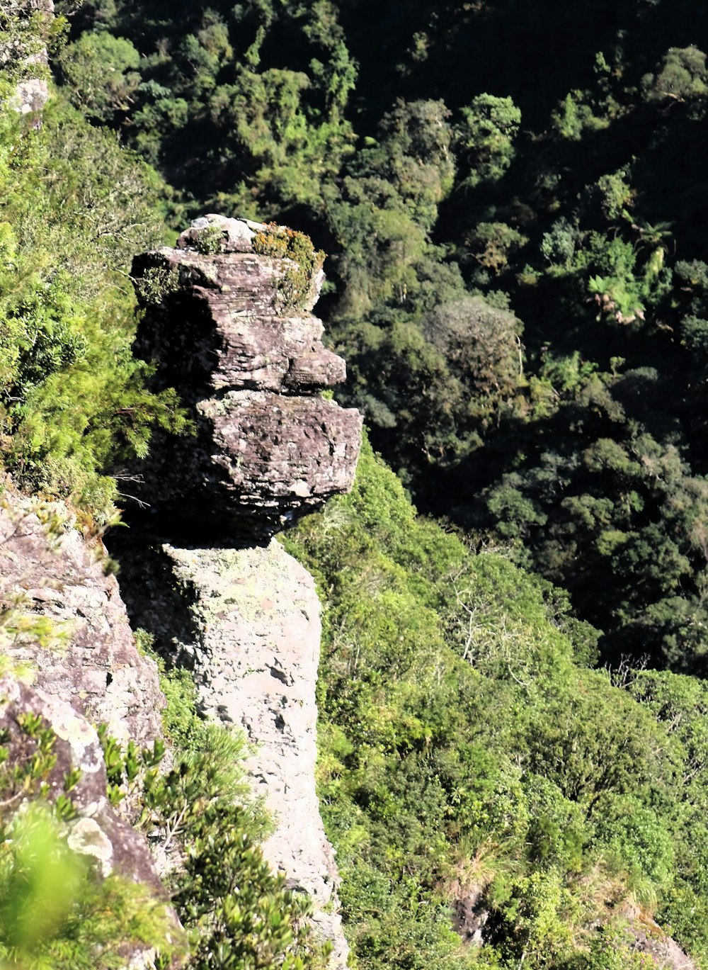 a rock formation in the middle of a forest