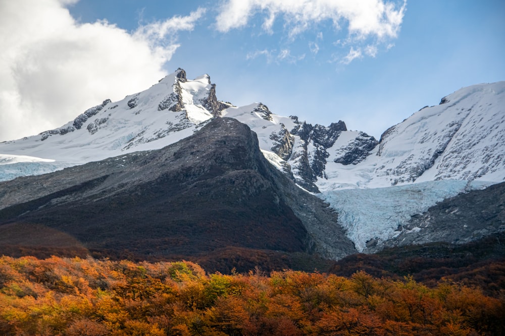 a large mountain covered in snow and surrounded by trees