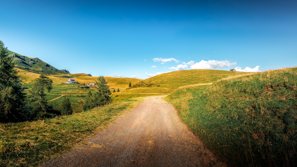 a dirt road in the middle of a lush green field