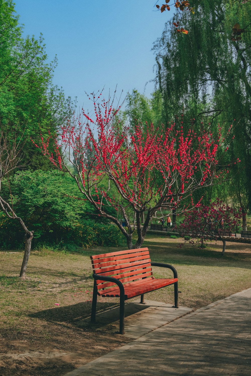 a wooden bench sitting in the middle of a park