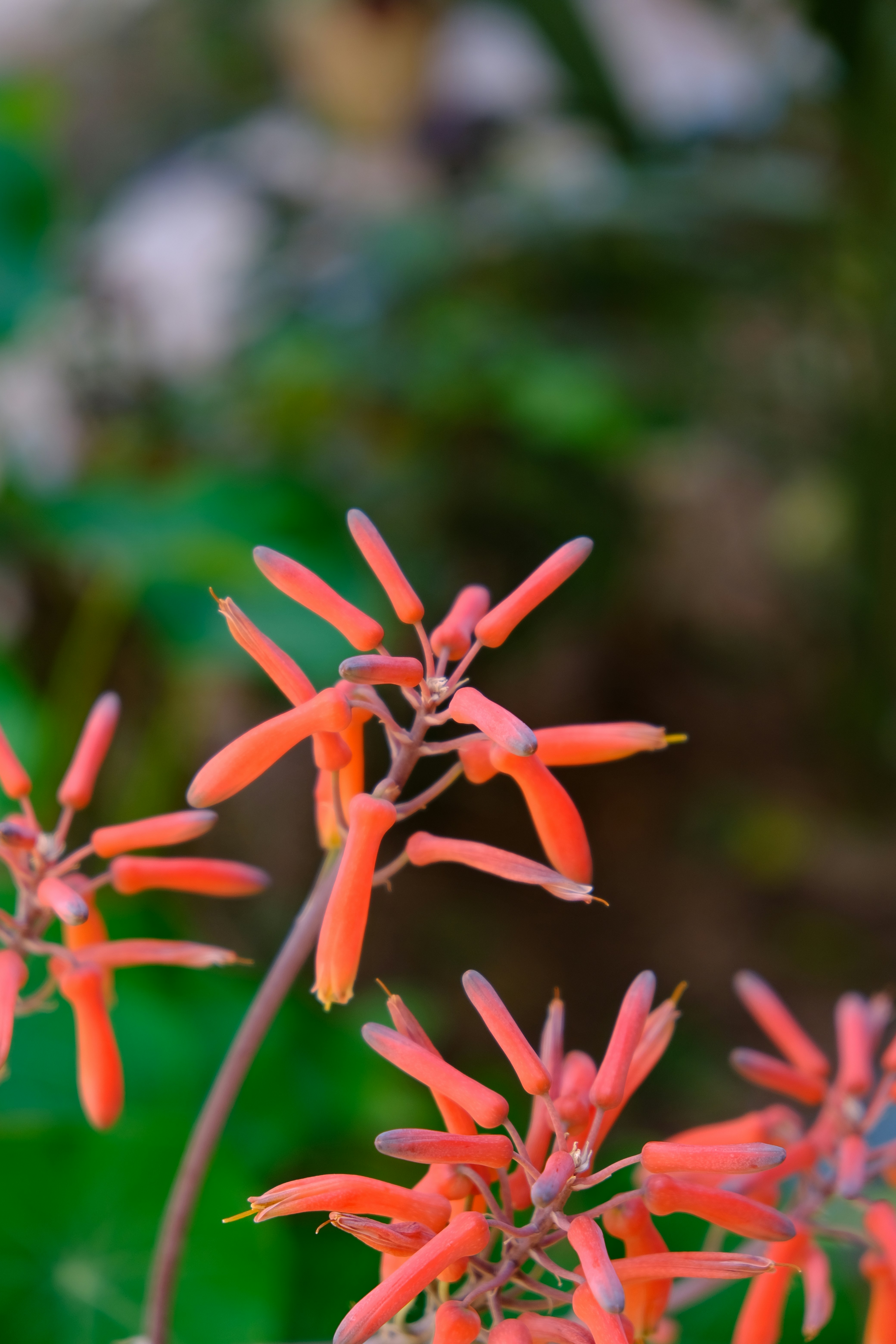 Photo by artofsinn