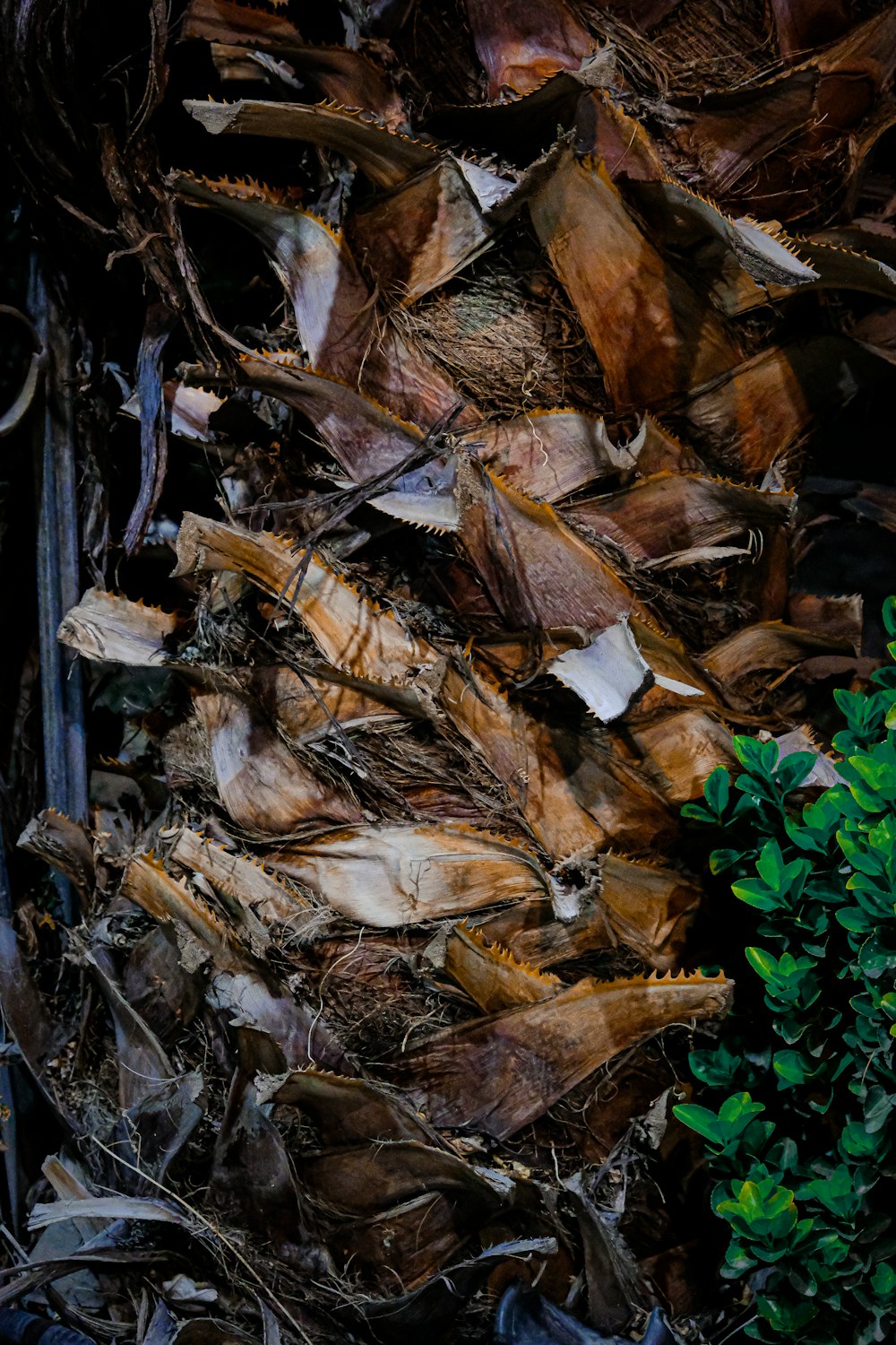 a pile of wood sitting next to a bush