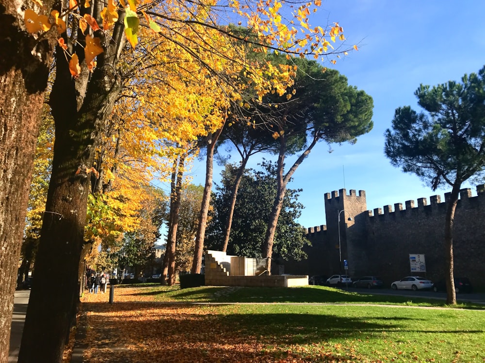 a park with trees and a castle in the background