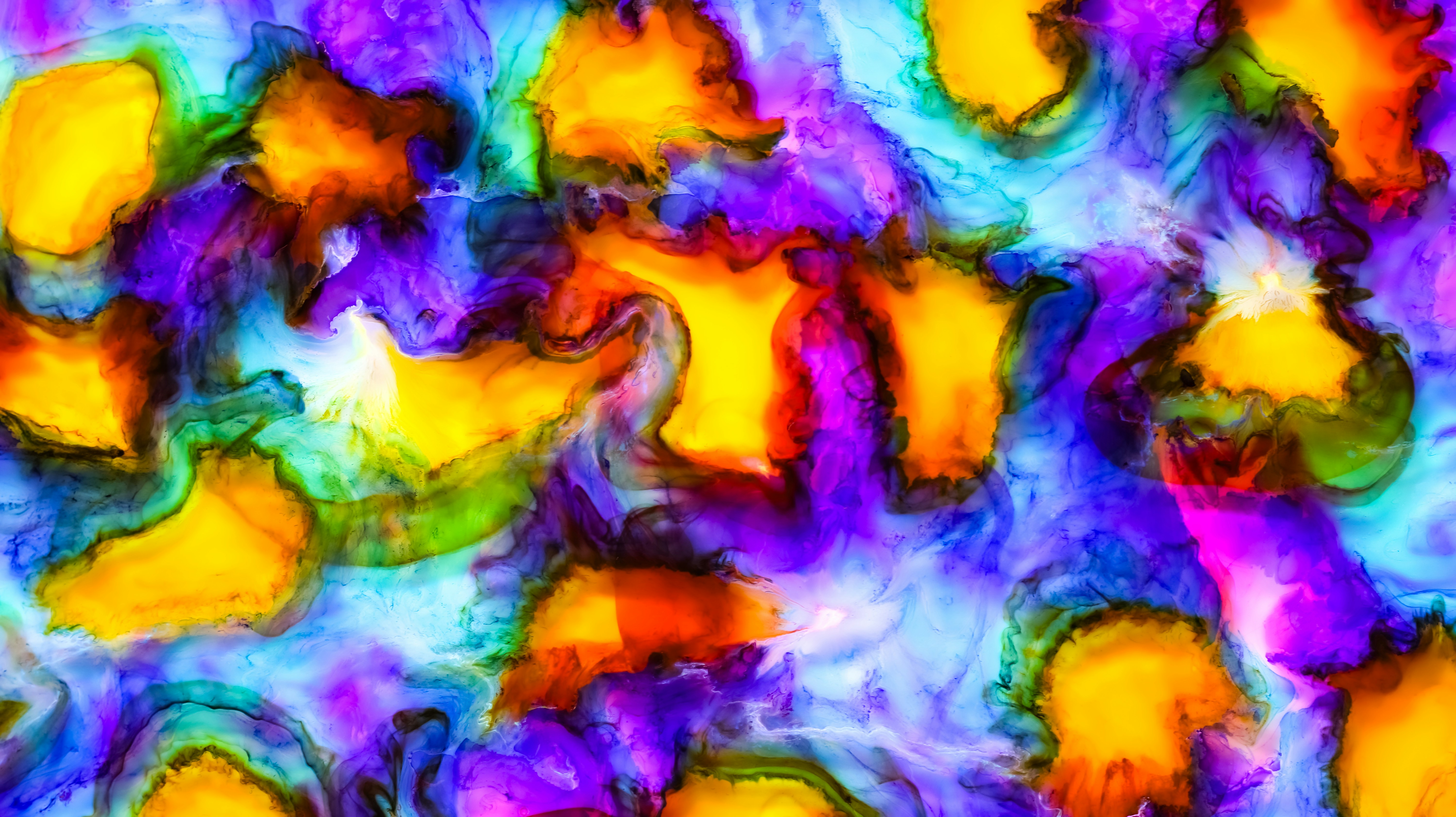 Photo by susan_wilkinson