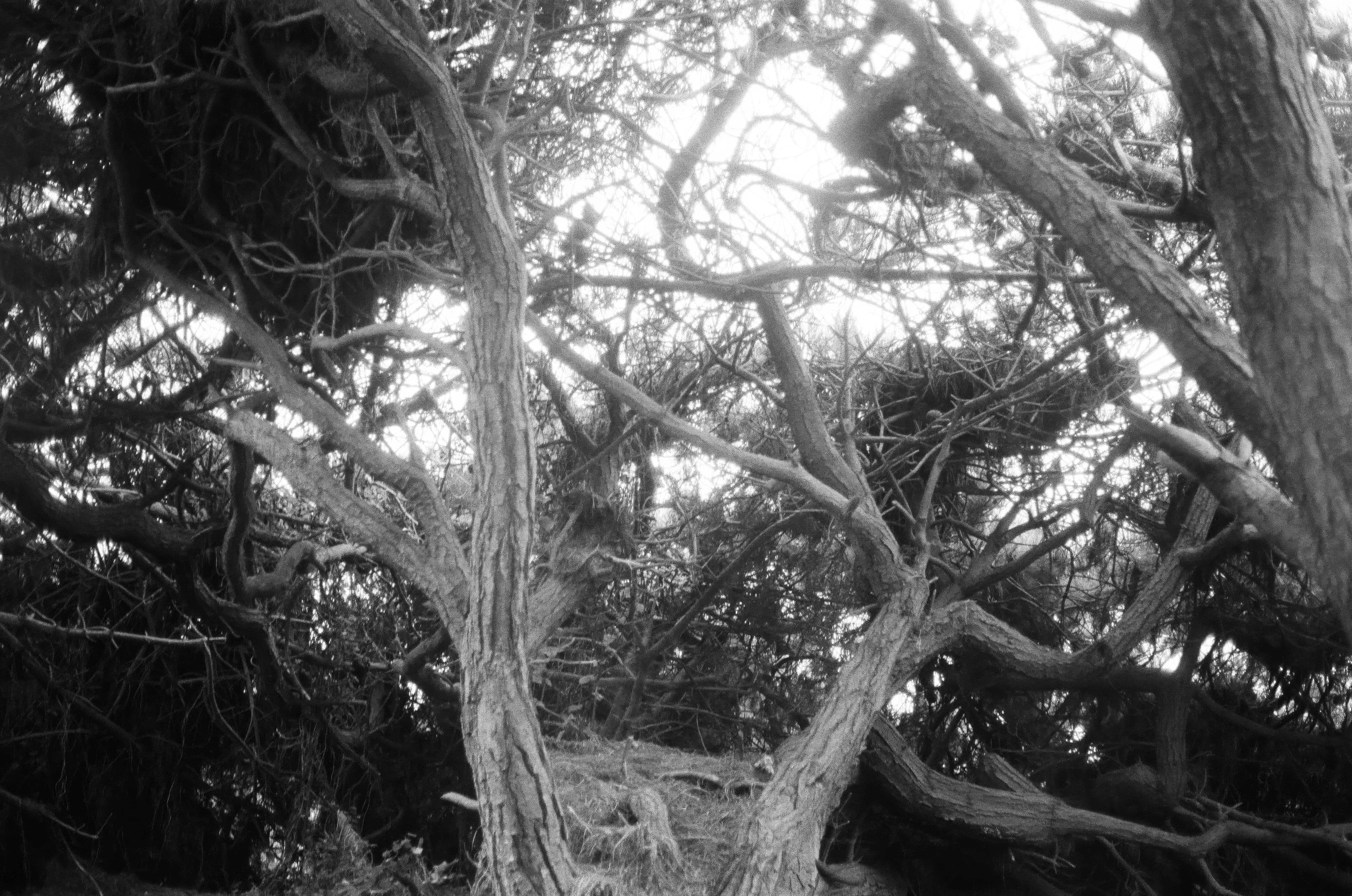 Photo by nathanielspence