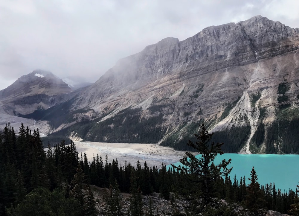 a view of a lake and mountains from the top of a hill