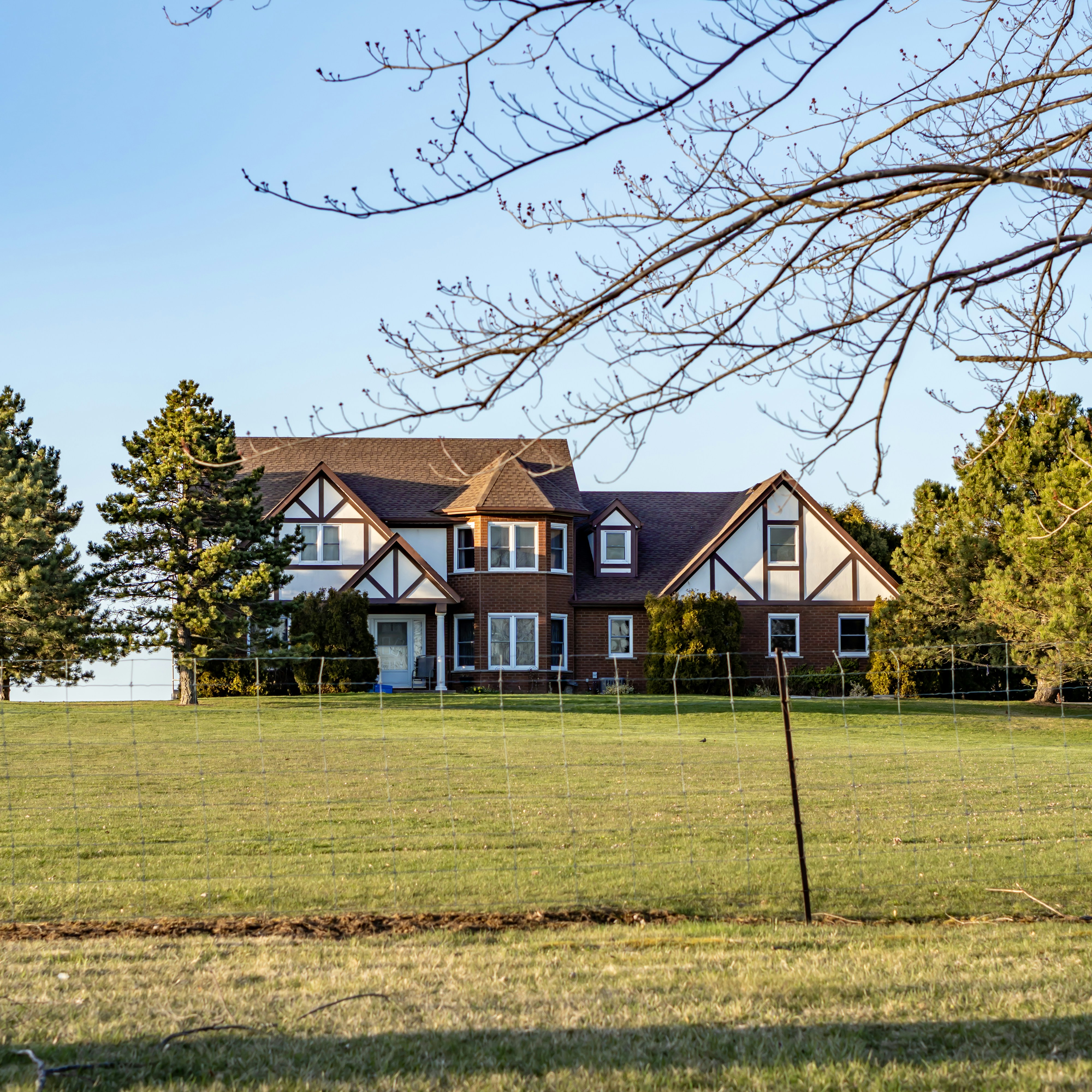 Photo by the_ahnafpiash