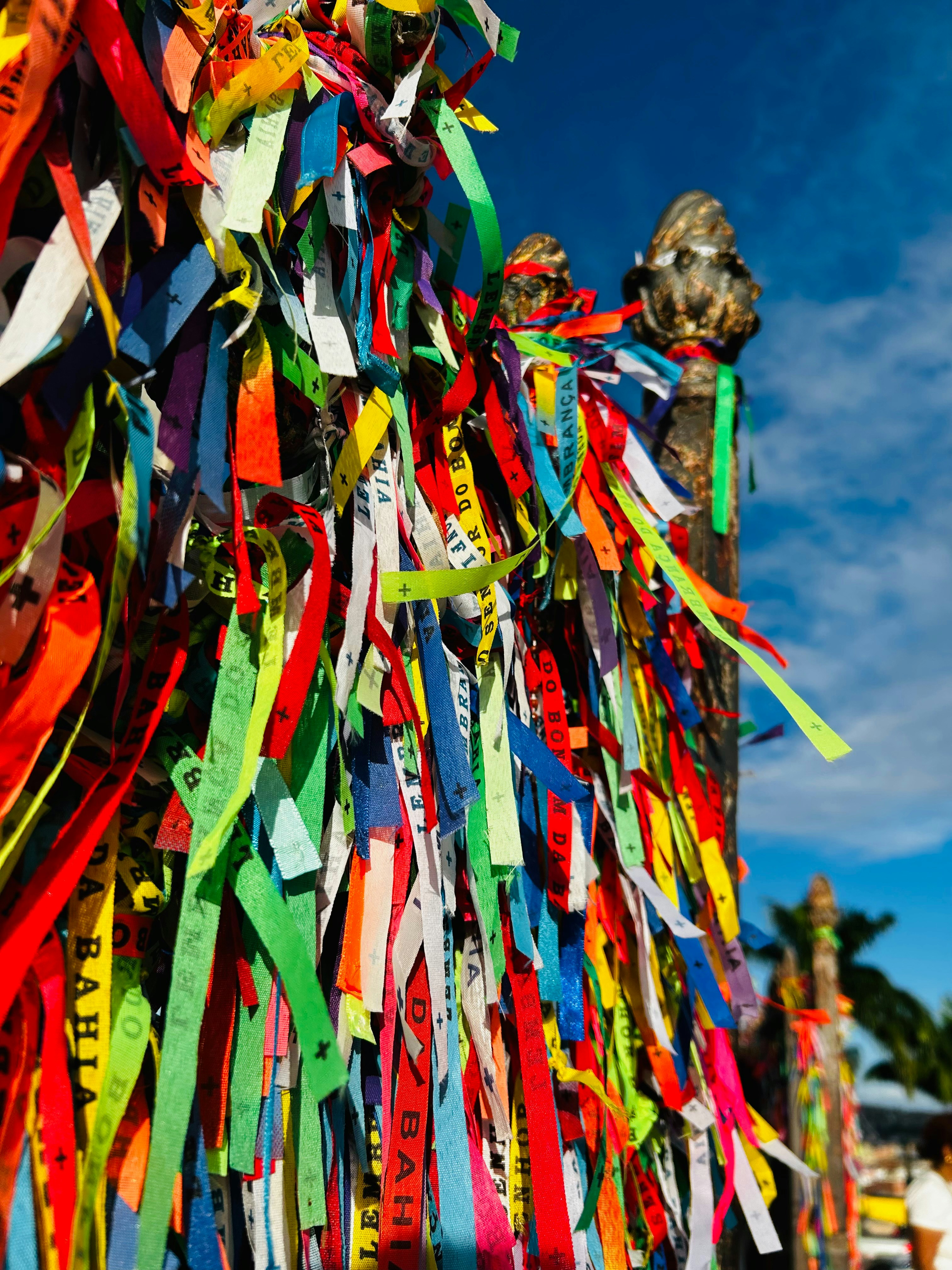 Photo by vivianeleite