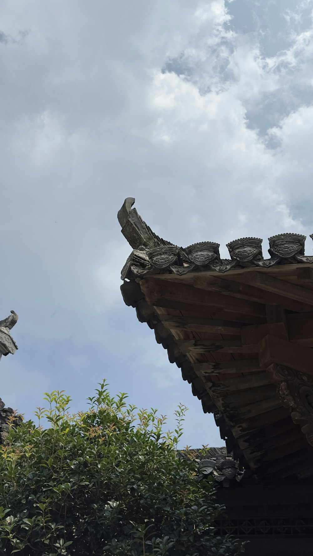 a bird sitting on top of a roof next to a tree