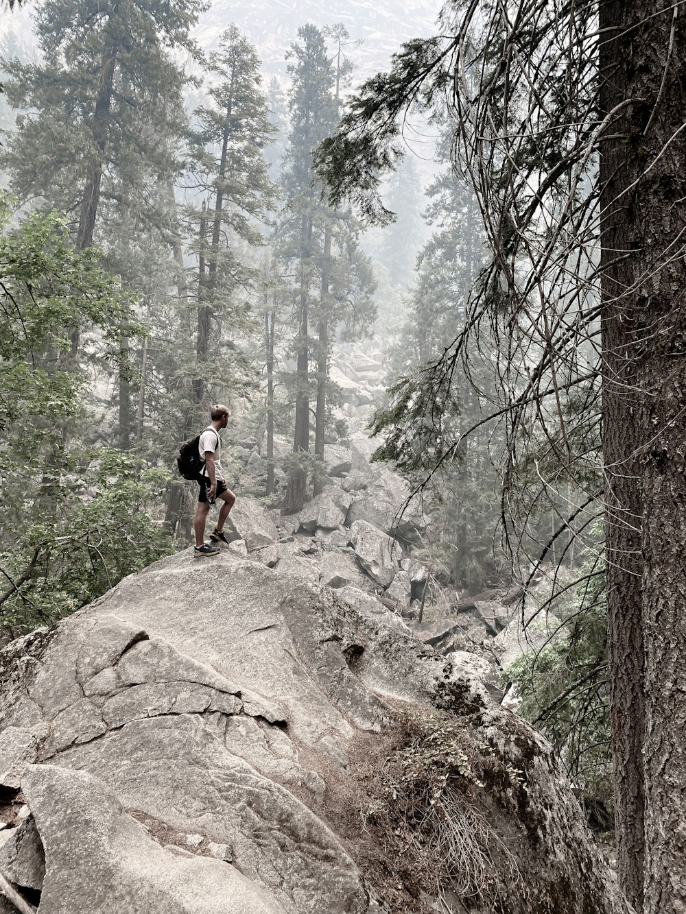 a man hiking up a rocky trail in the woods