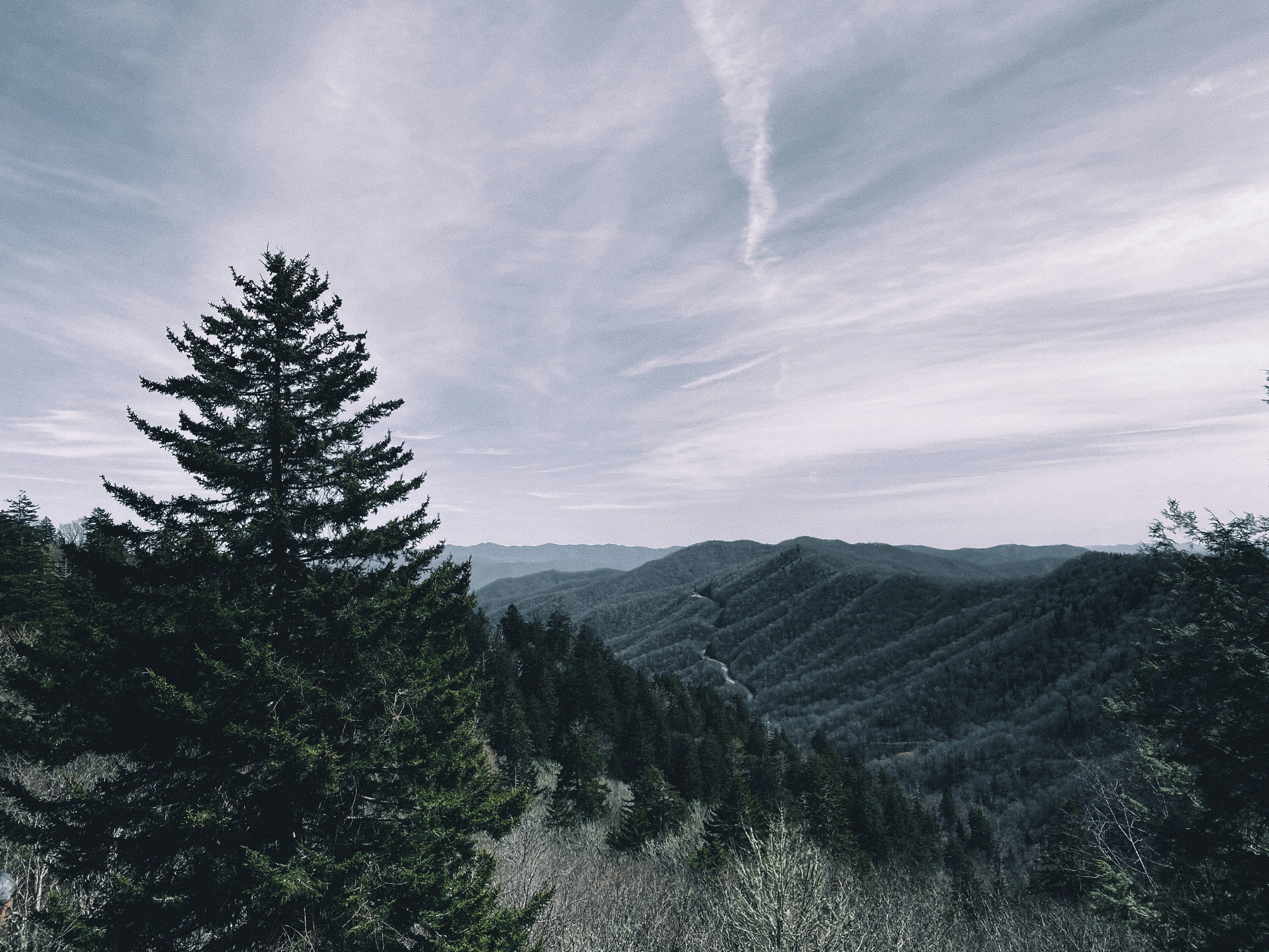 Newfound Gap overlook at in the Smokey Mountains on a cloudy, early spring afternoon