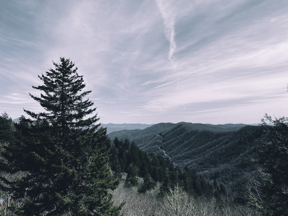 a view of the mountains from the top of a hill