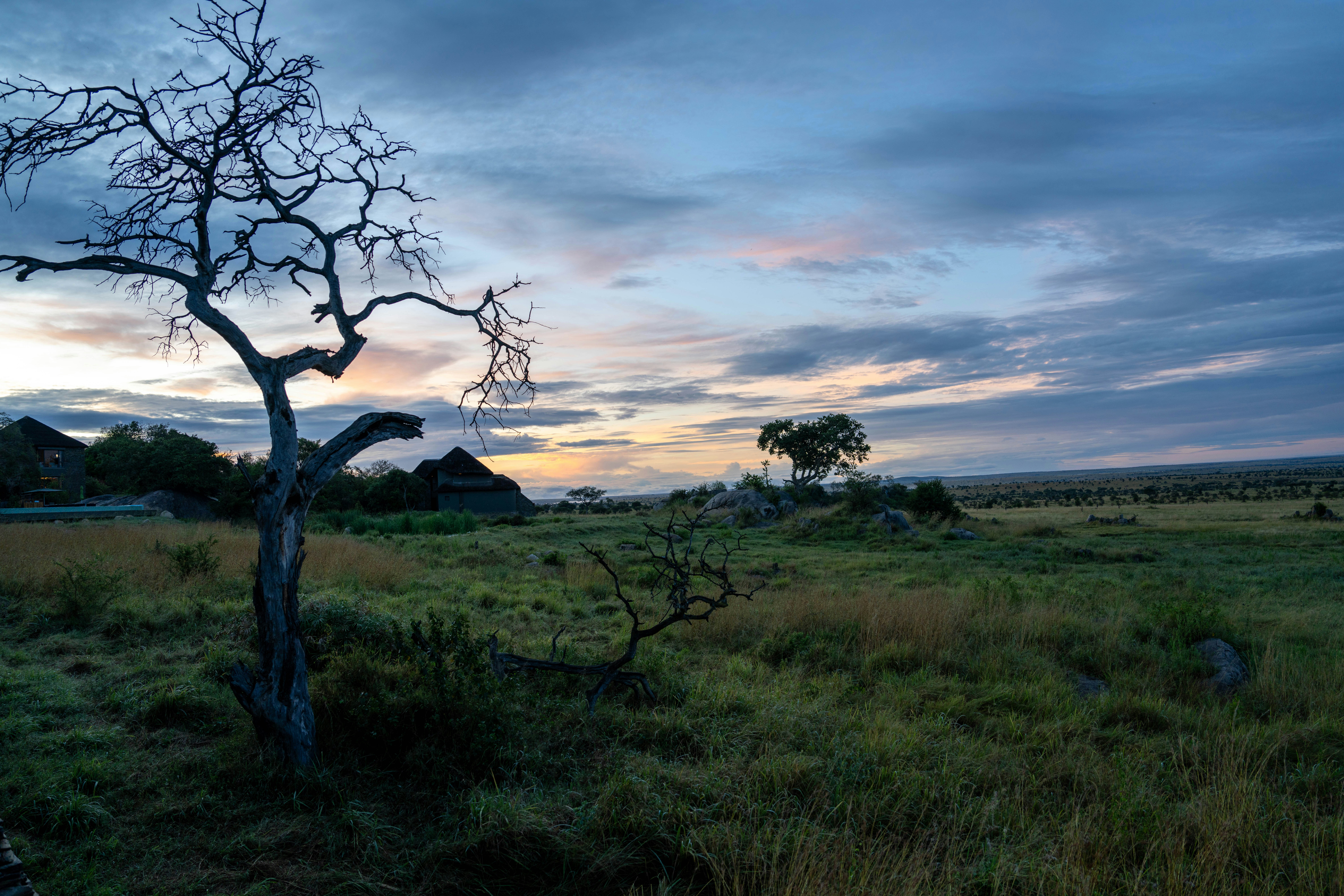 great photo recipe,how to photograph serengeti sunrise.