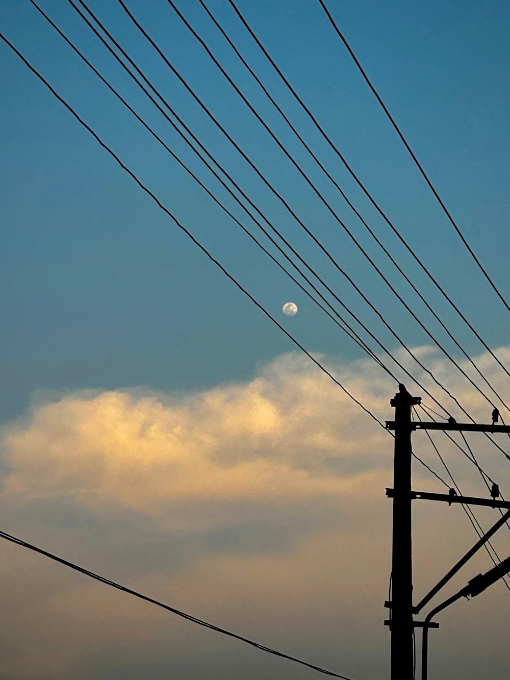 a full moon is seen through power lines