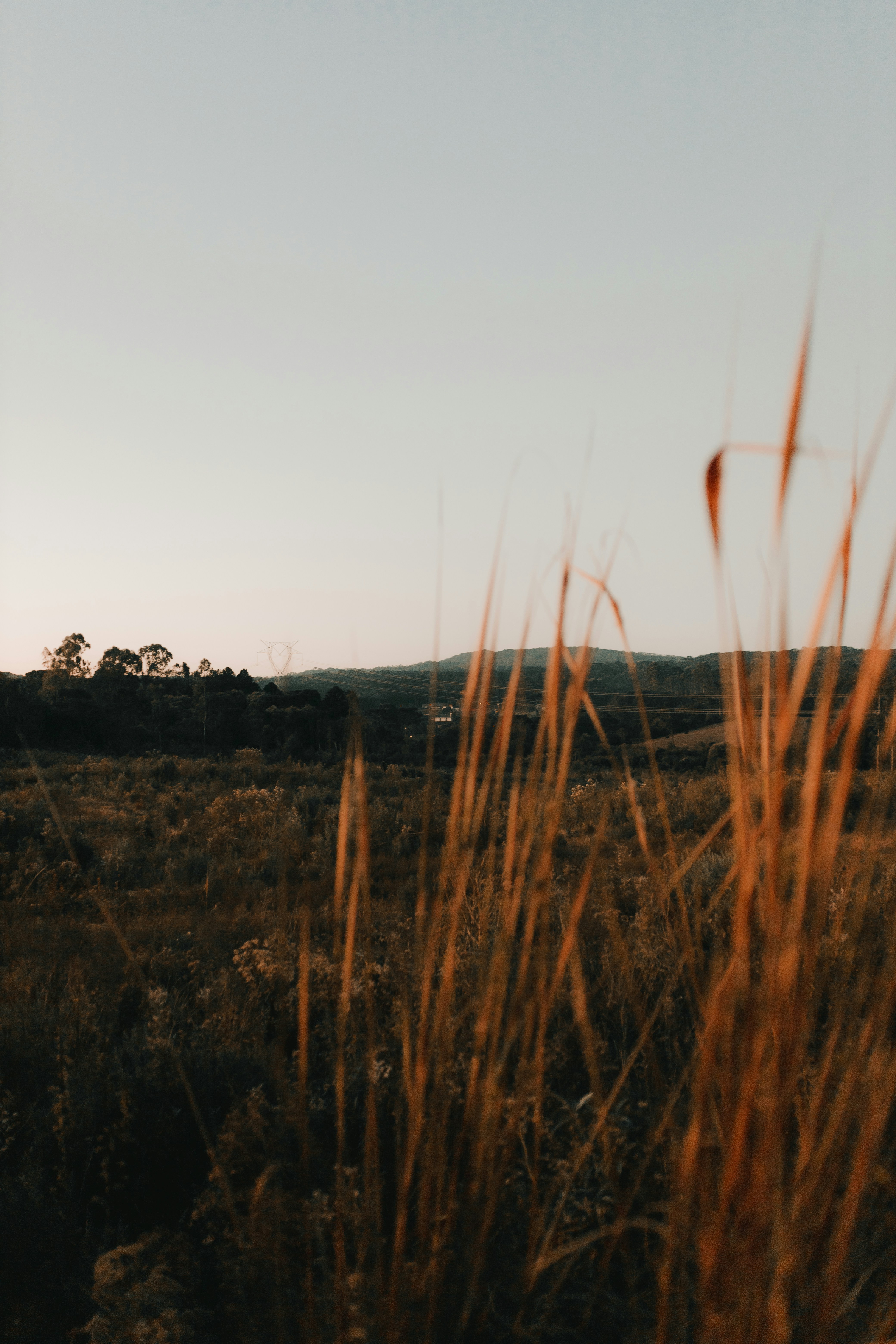 Photo by alexandermassph