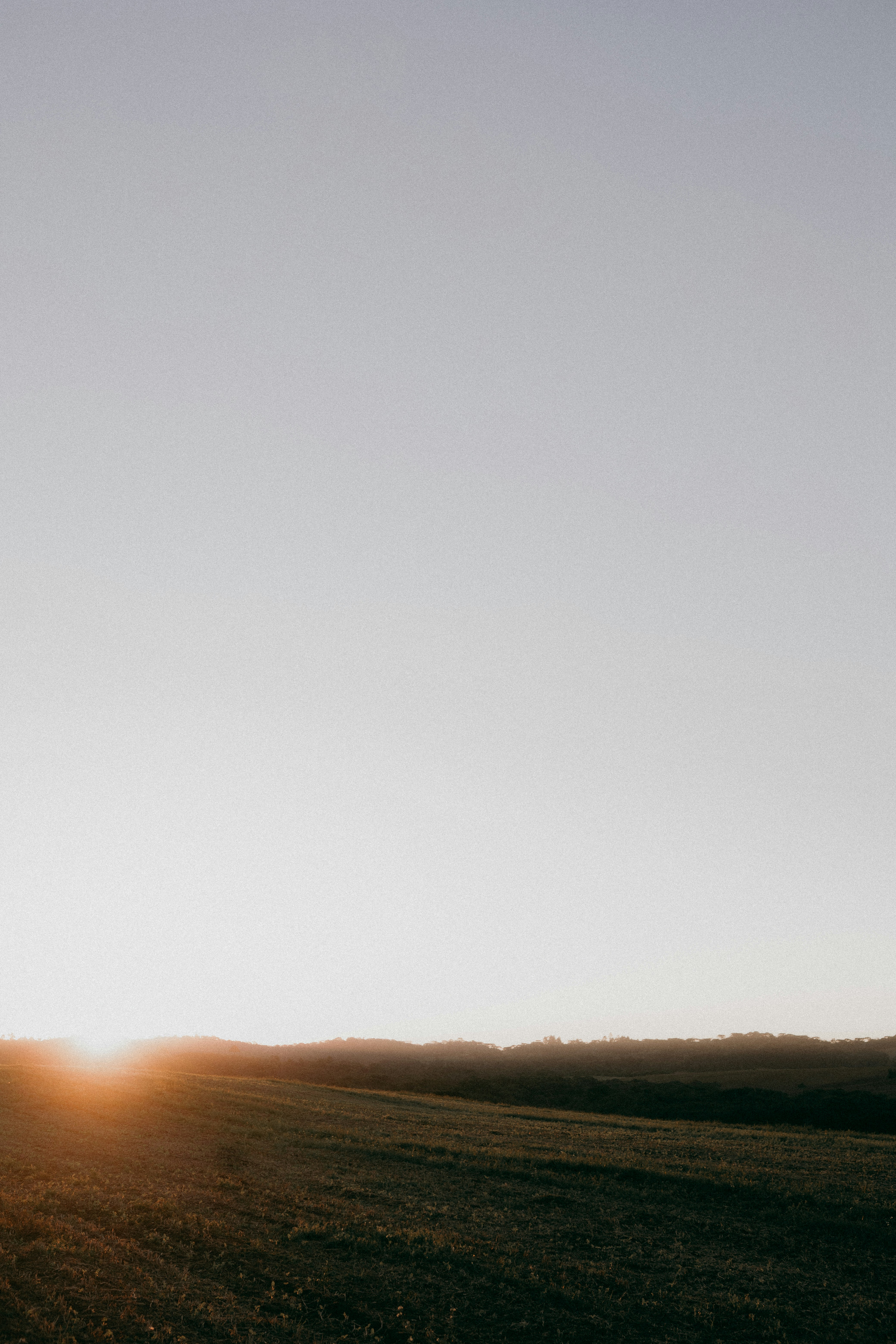 Photo by alexandermassph