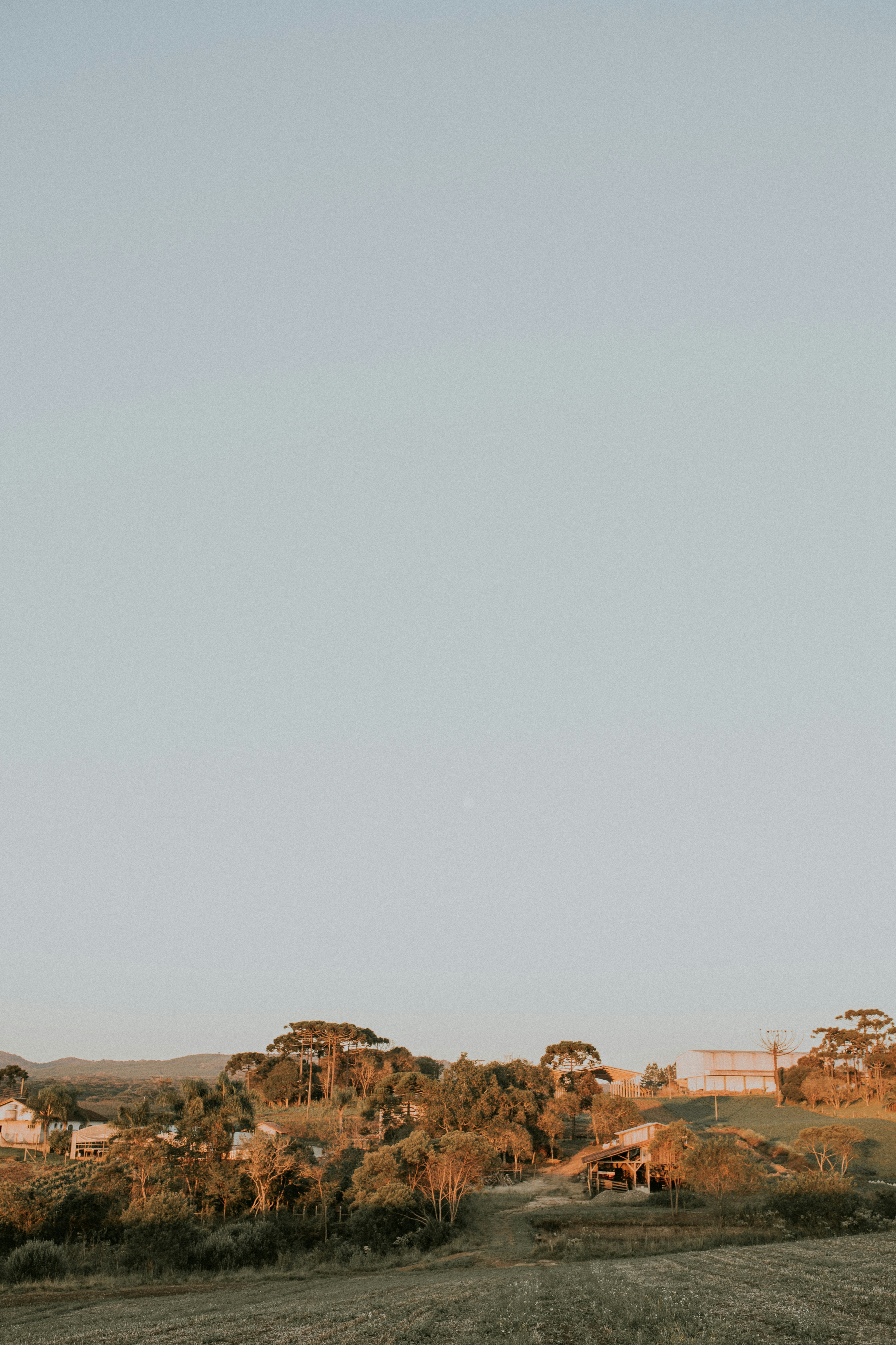 Photo by alexandermassph