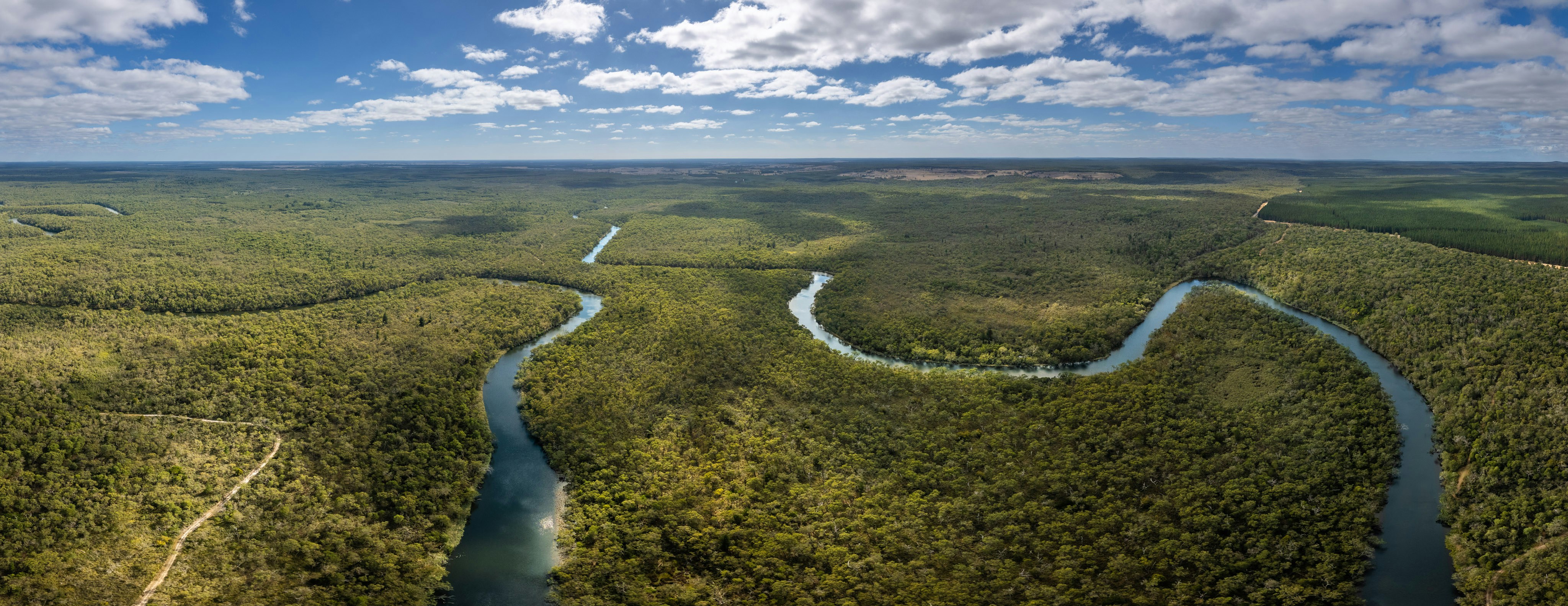 a river running through a lush green forest, 