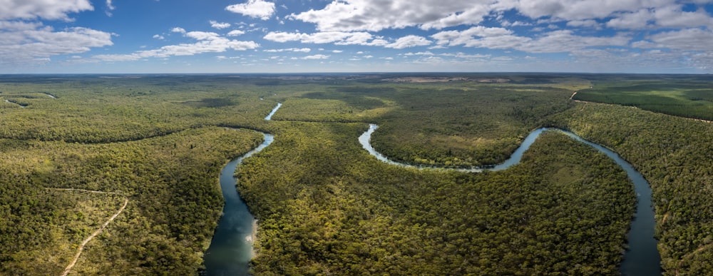 a river running through a lush green forest