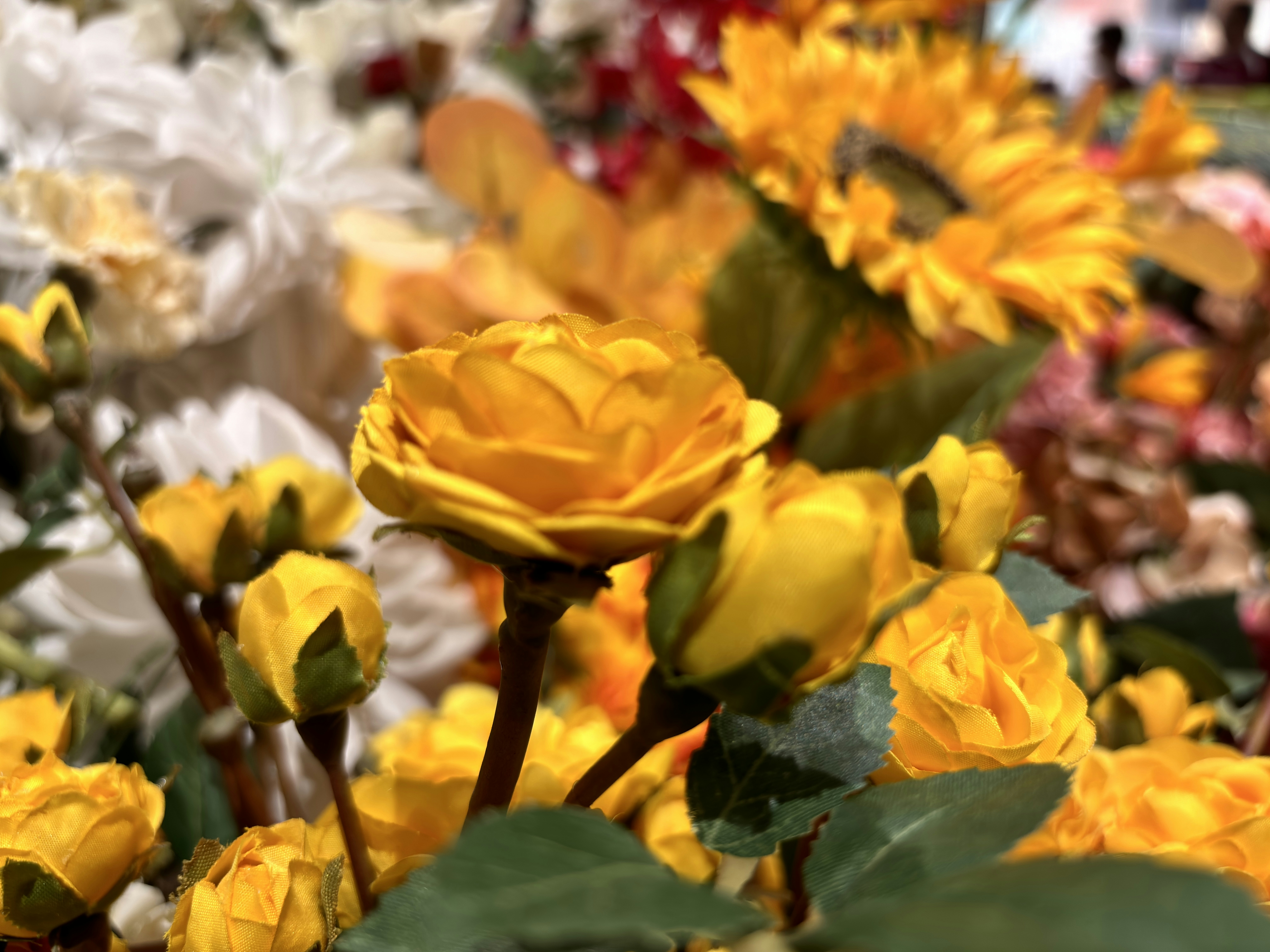 a bunch of flowers that are yellow and white