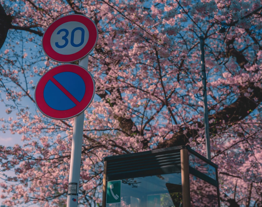 a red and blue street sign sitting next to a tree