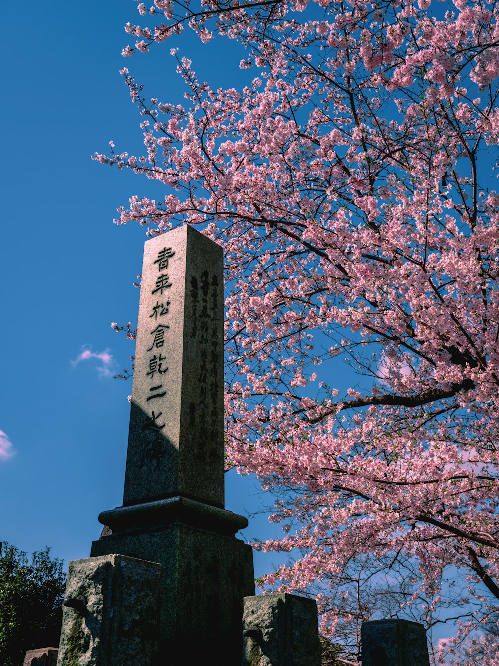 Un monumento alto con un árbol al fondo