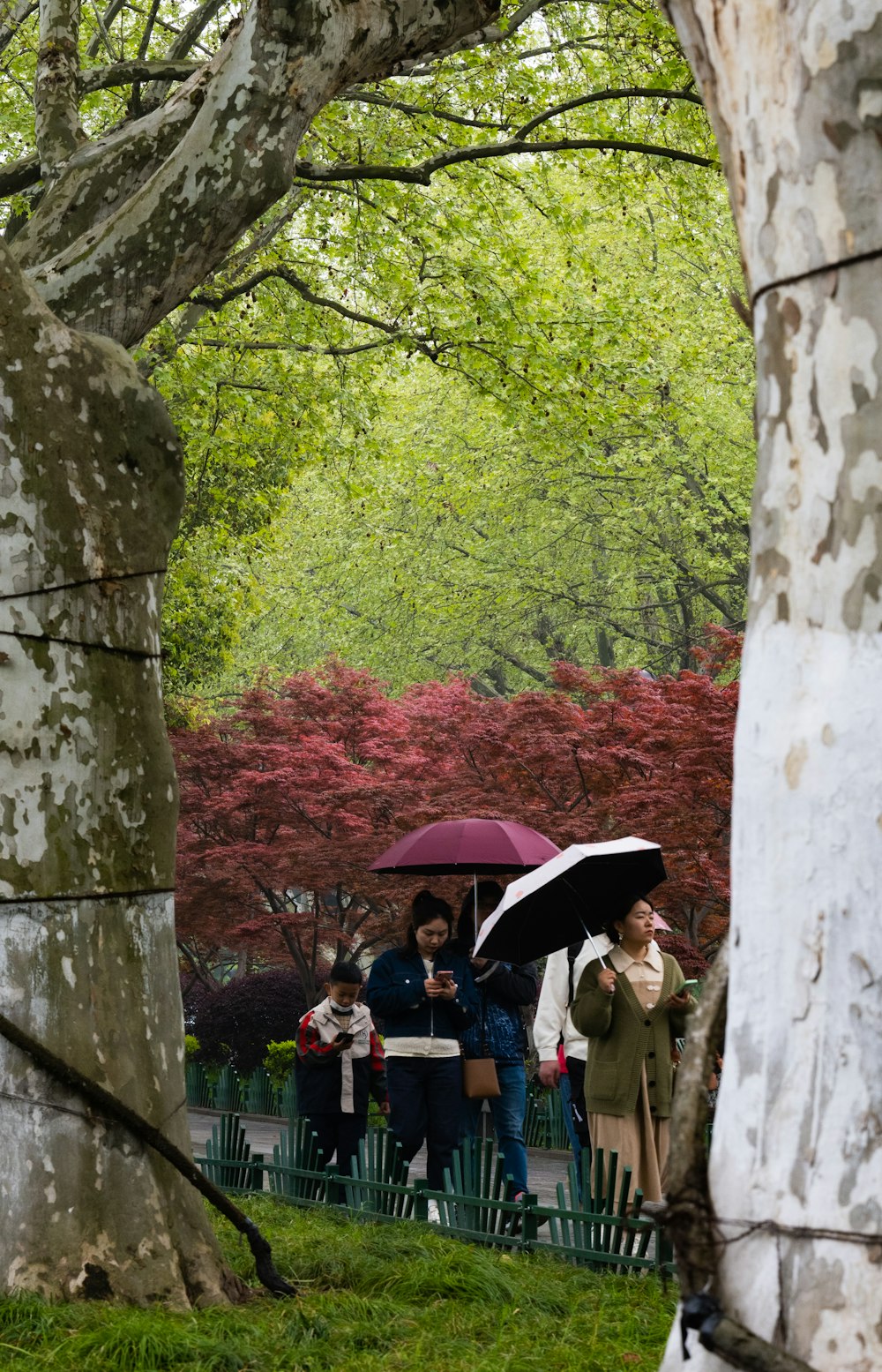 a group of people standing under a tree