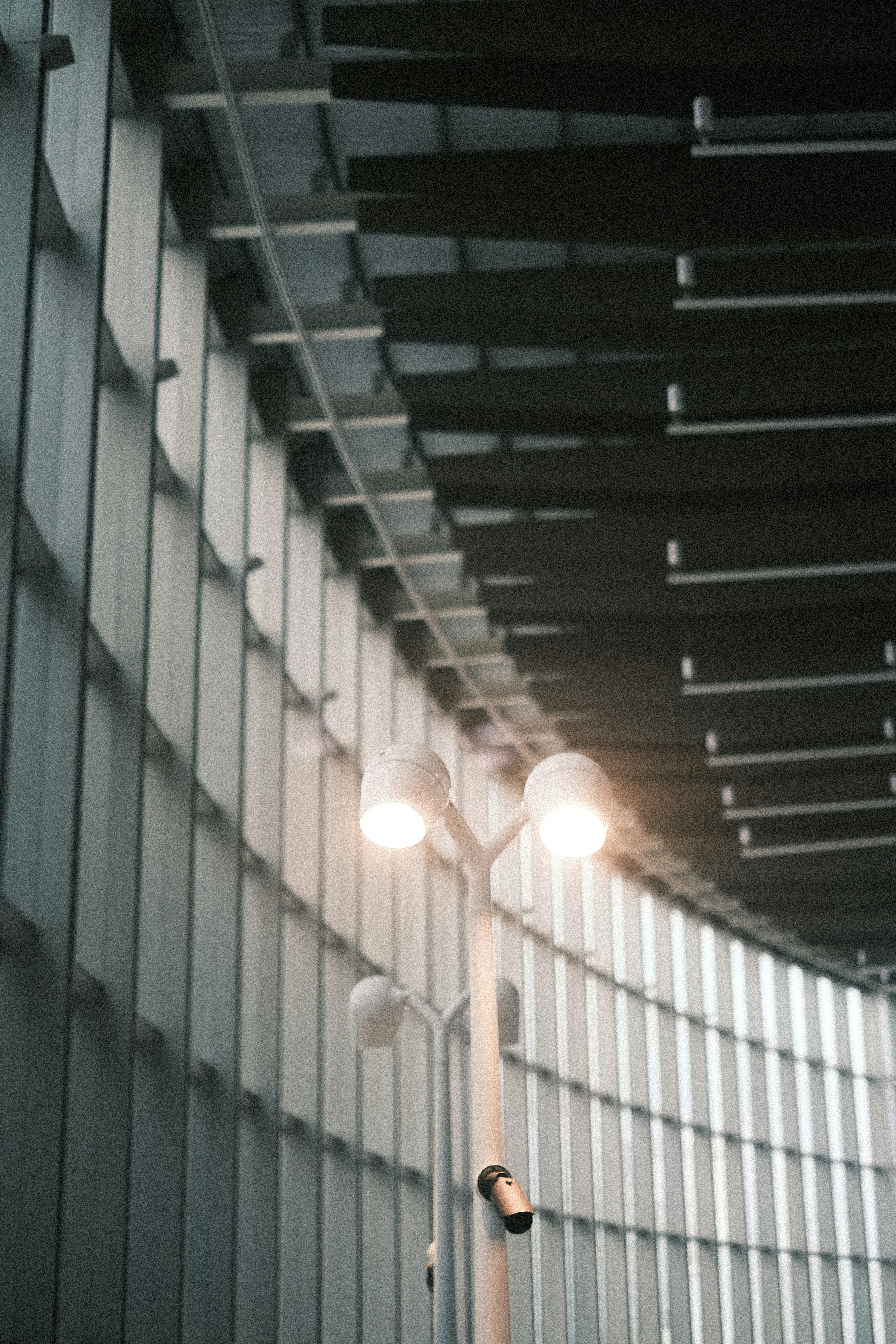 Photo by subspace_stills