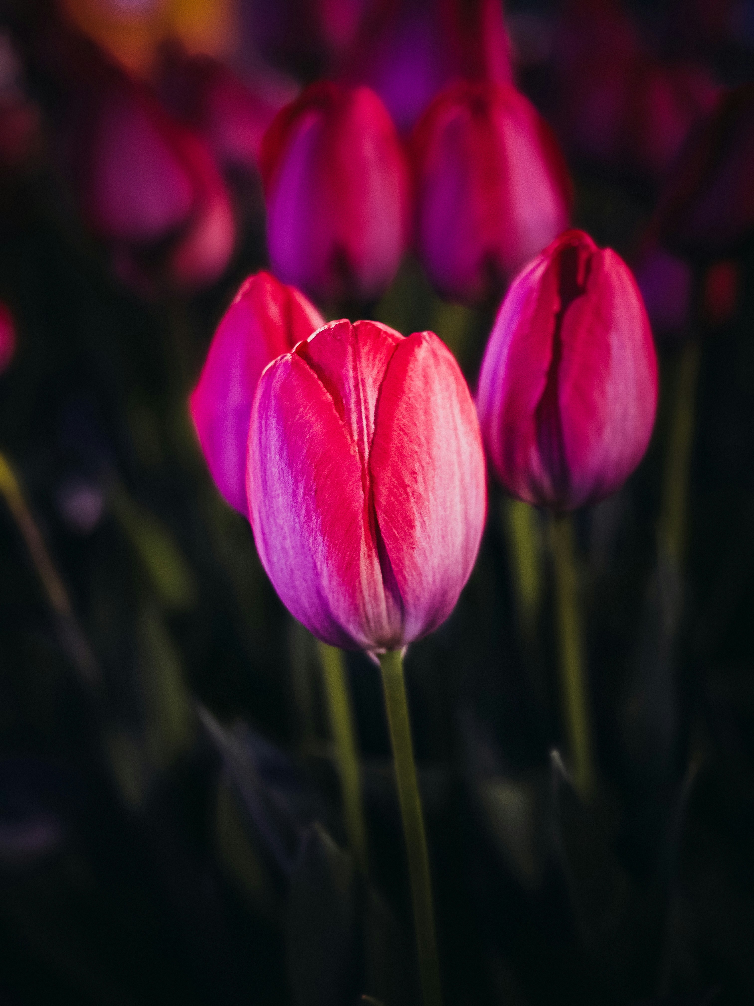 Photo by brice_cooper18